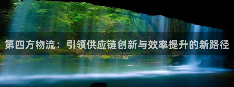 狗子28模拟器：第四方物流：引领供应