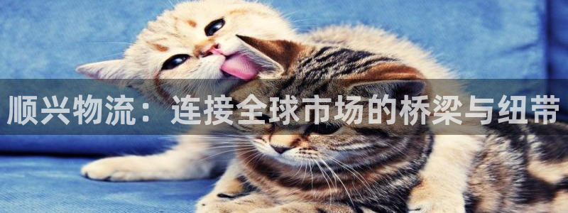 狗子28激活码：顺兴物流：连接全球市