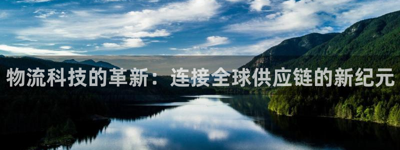 狗子28连接：物流科技的革新：连接全