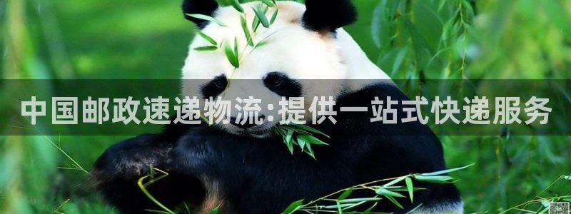 狗子28预测：中国邮政速递物流:提供