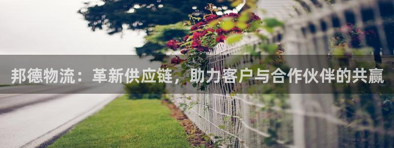 狗子28加拿大2.8预测在线预测：邦