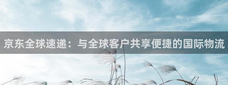 狗子28怎么下载教程：京东全球速递：