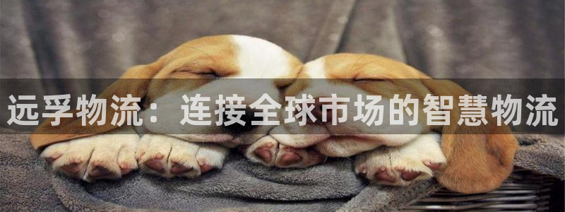 狗子28官网入口正版：远孚物流：连接