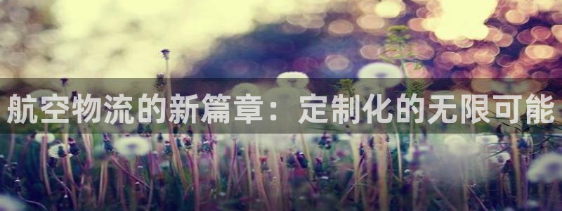 狗子28官网平台：航空物流的新篇章：