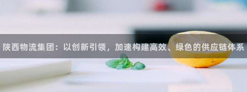 狗子28怎么下载教程：陕西物流集团：以创新引领，加速构建高效
