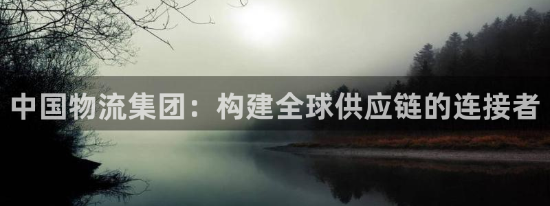 狗子28代理落网：中国物流集团：构建全球供应链的连接者