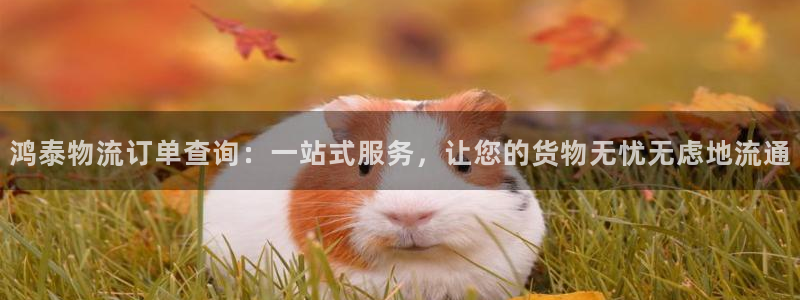 狗子28如何看012路计划：鸿泰物流