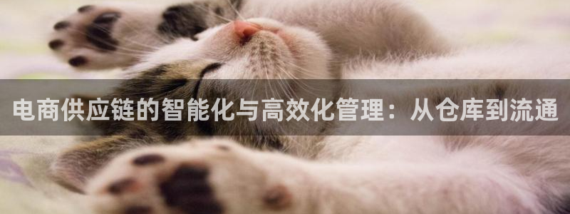 狗子28推广链接是多少粉丝：电商供应