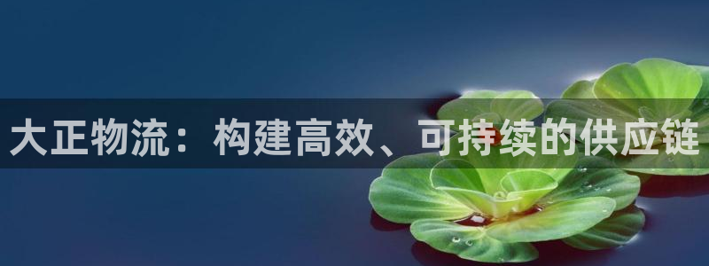 狗子28和南宫28什么关系：大正物流