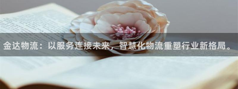 狗子28反水:金达物流:以服务连接未