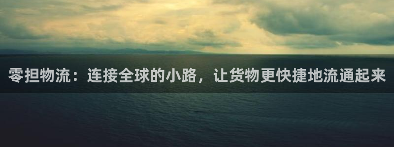 狗子28新用户怎么注册：零担物流：连接全球的小路，让货物更快