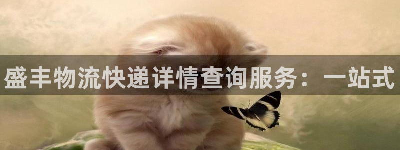 狗子28连输10天