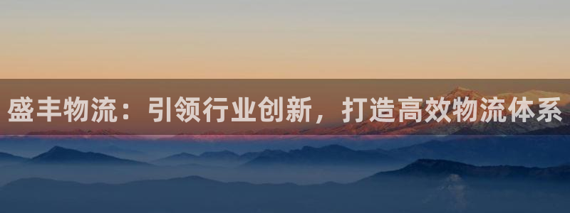 狗子28官网平台下载:盛丰物流:引领