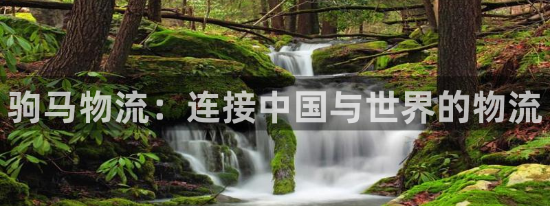 狗子28注册问一问：驹马物流：连接中