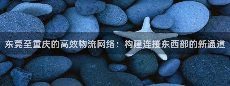 狗子28注册地址：东莞至重庆的高效物流网络：构建连接东西部的