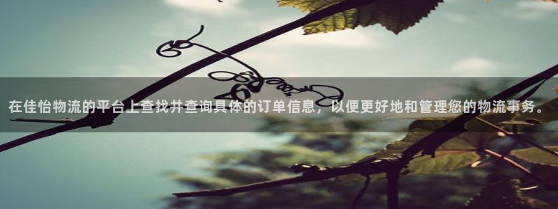狗子28能不能退