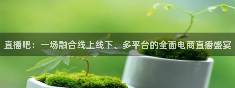 24直播nba直播：直播吧：一场融合线上线下、多平台的全面电商直播盛宴