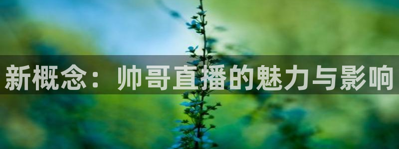 24直播网体育在线直播：新概念：帅哥直播的魅力与影响