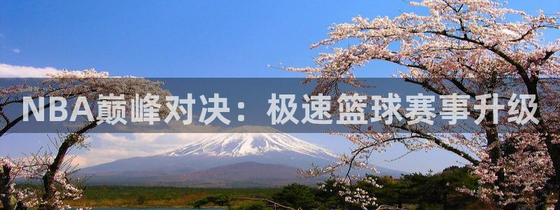 24直播吧nba在线直播：NBA巅峰对决：极速篮球赛事升级