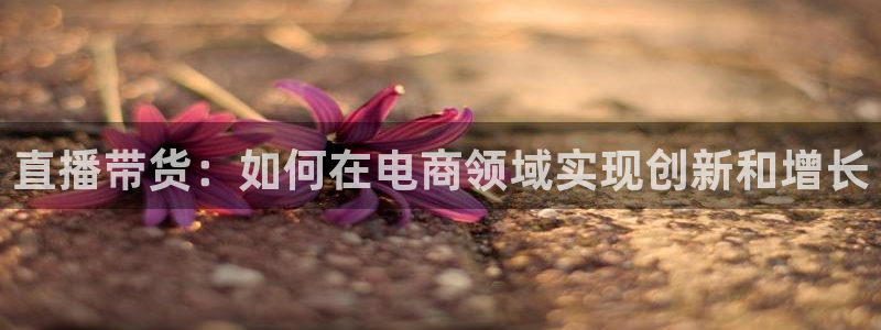24直播体育直播nba直播：直播带货：如何在电商领域实现创新和增长