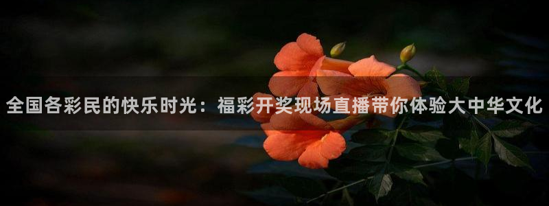 114624直播
