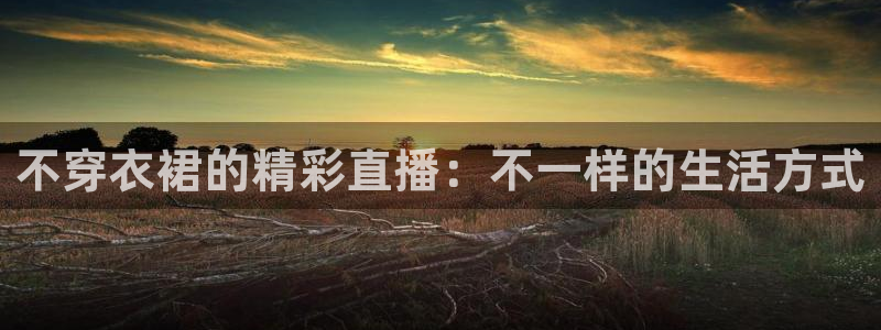足球直播24直播网在线