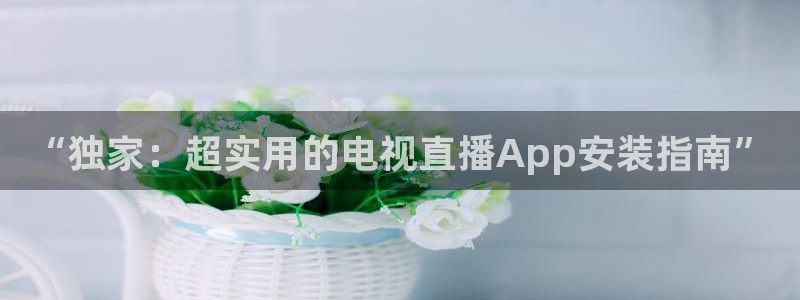 乐球直播24直播网