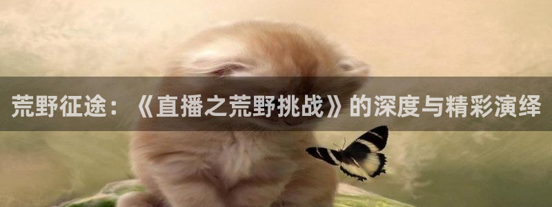 足球24直播：荒野征途：《直播之荒野挑战》的深度与精彩演绎