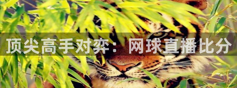 24直播网nba直播足球：顶尖高手对弈：网球直播比分