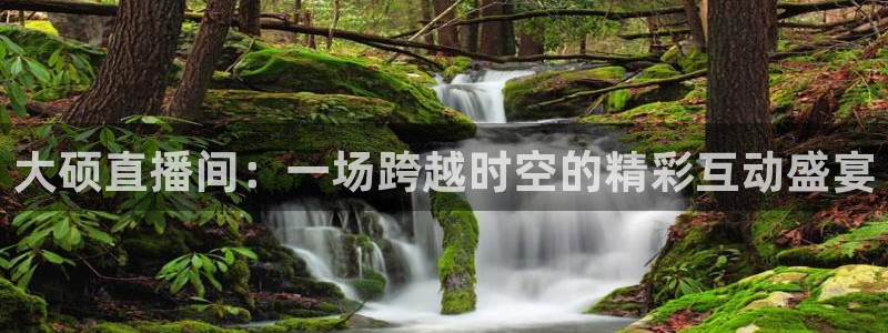 24直播网足球在线：大硕直播间：一场跨越时空的精彩互动盛宴