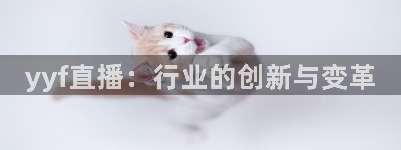 24直播足球：yyf直播：行业的创新与变革