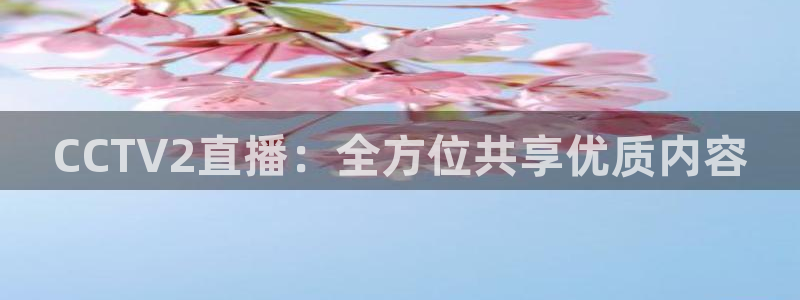 nba直播吧24直播网：CCTV2直播：全方位共享优质内容