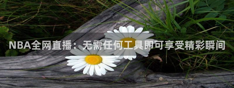 24直播篮球：NBA全网直播：无需任何工具即可享受精彩瞬间