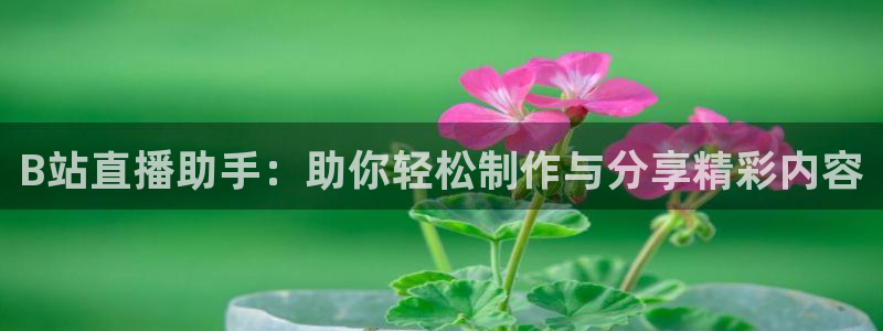 nba直播吧24直播网：B站直播助手：助你轻松制作与分享精彩内容