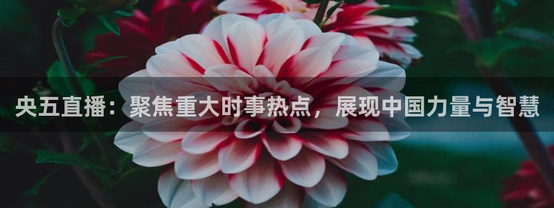 24直播看球：央五直播：聚焦重大时事热点，展现中国力量与智慧