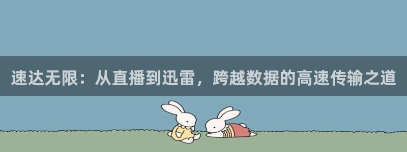 24直播篮球网：速达无限：从直播到迅雷，跨越数据的高速传输之道